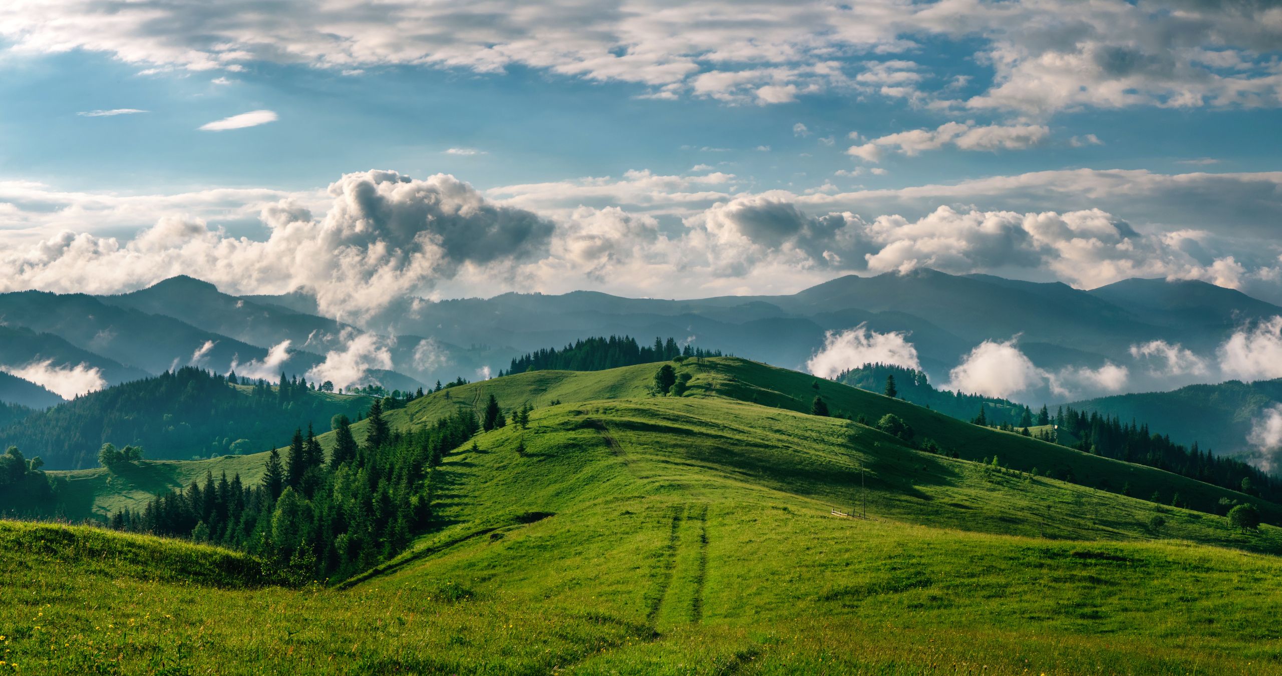 Isio remains signatories to the UK Stewardship Code in 2025 featured image
