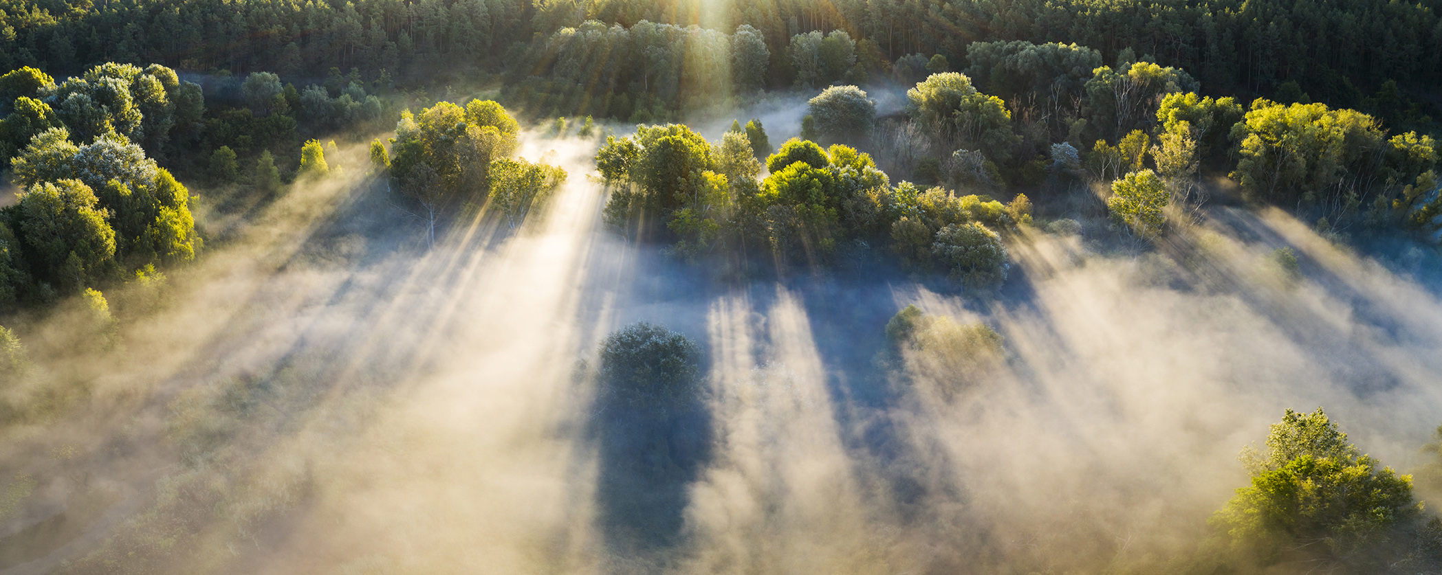 Isio remains signatories to the UK Stewardship Code in 2026 featured image